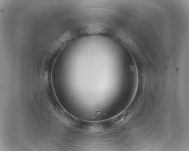 X0000062140308200512091222