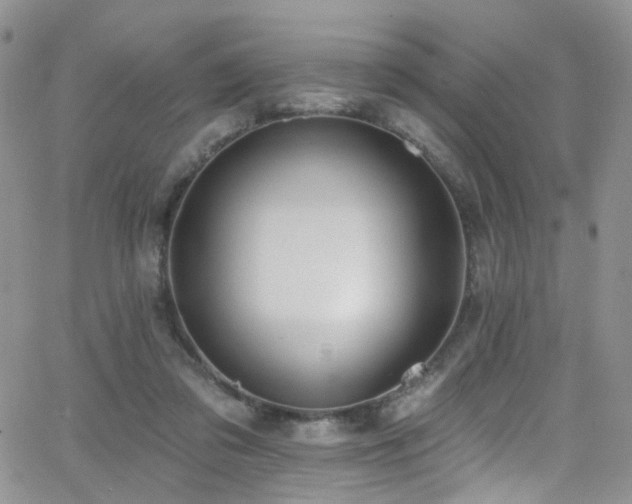 X0000062140309200512091222