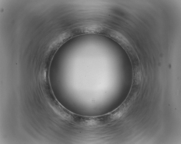 X0000062140310200512091222