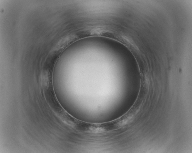 X0000062140311200512091222