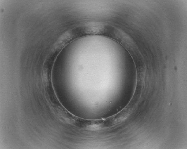 X0000062140312200512091222