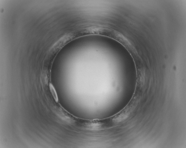 X0000062140313200512091222