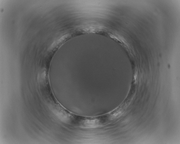 X0000062140314200512091222