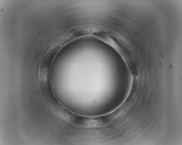 X0000062140315200512091222