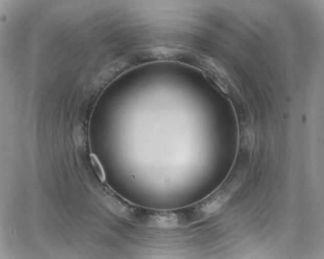 X0000062140317200512091222