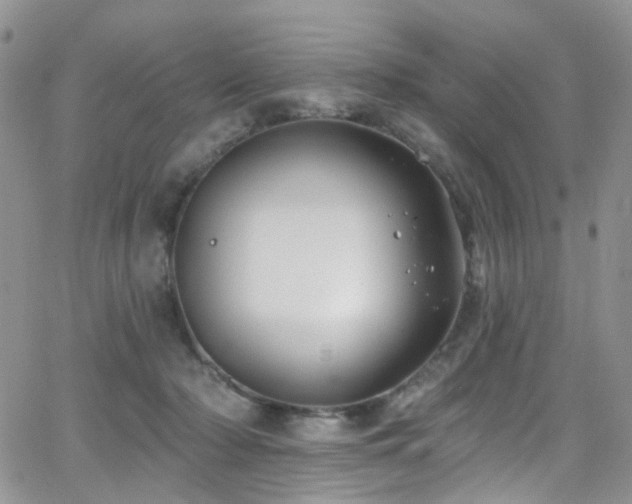 X0000062140318200512091222