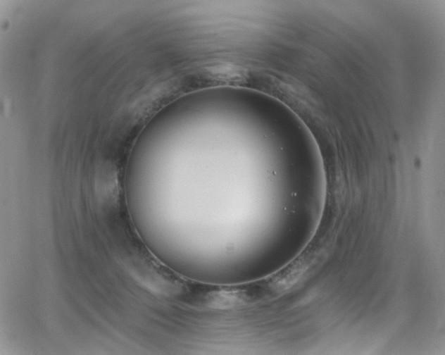 X0000062140320200512091221