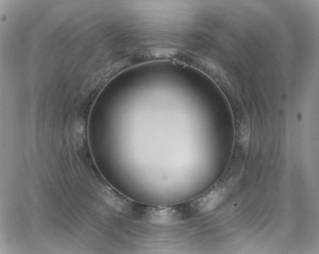 X0000062140321200512091221