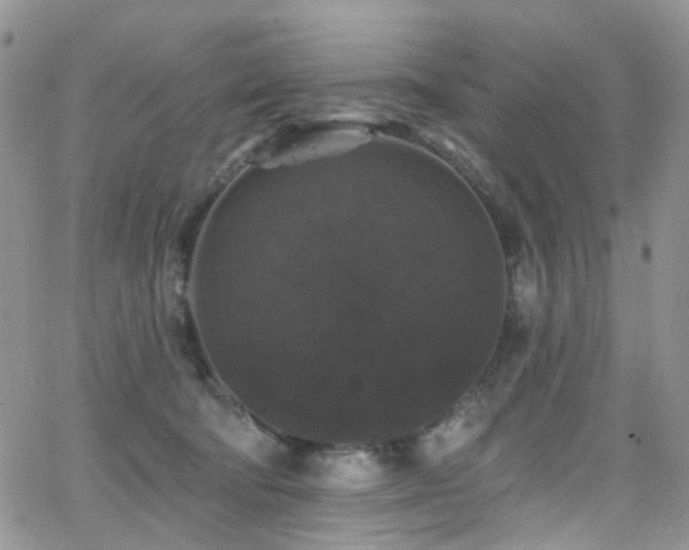 X0000062140322200512091221