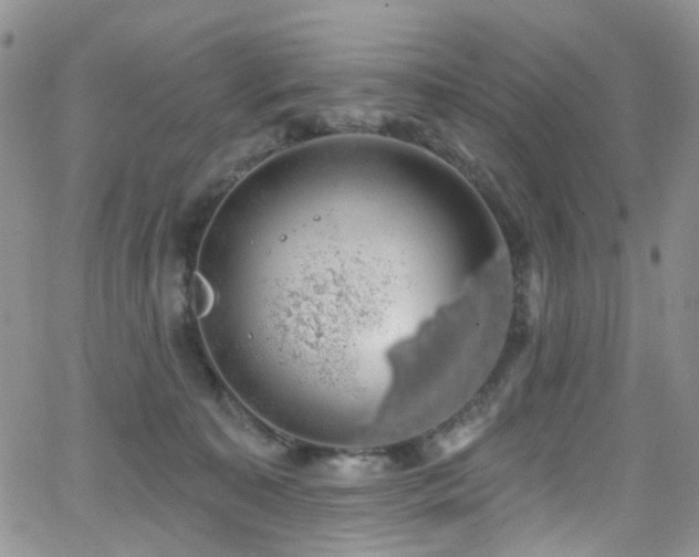 X0000062140323200512091221