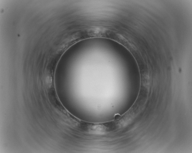 X0000062140324200512091221