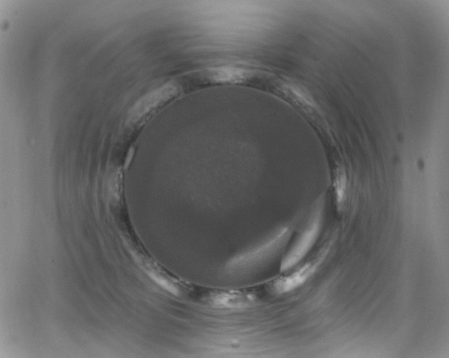 X0000062140325200512091221