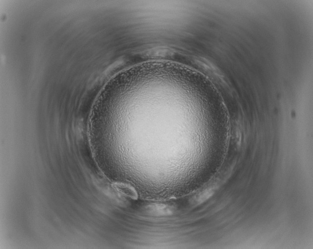 X0000062140326200512091221