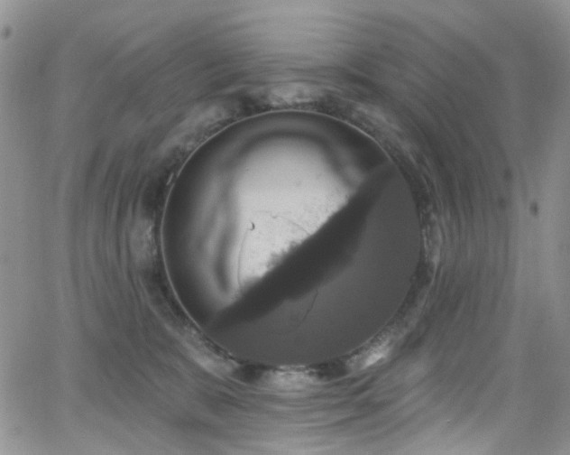 X0000062140327200512091221