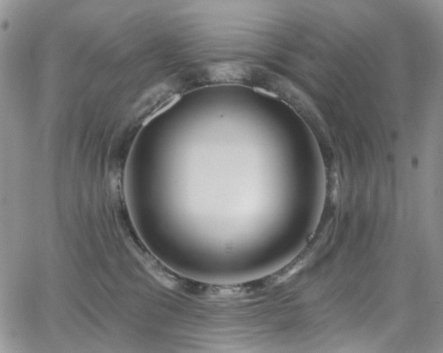 X0000062140329200512091221