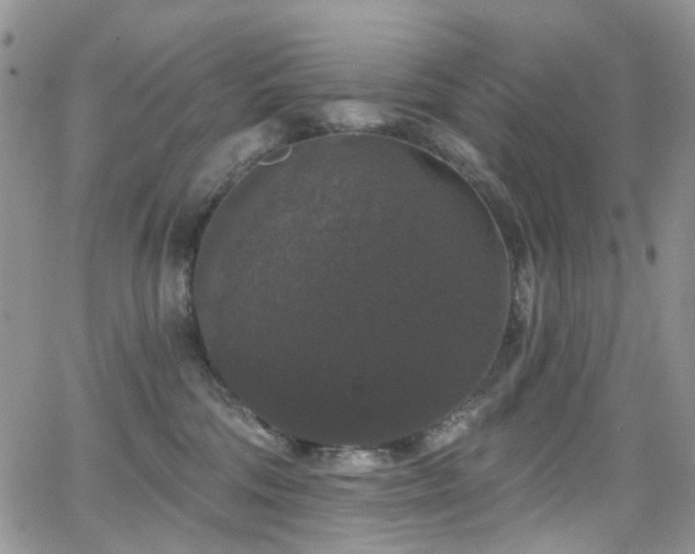 X0000062140330200512091221