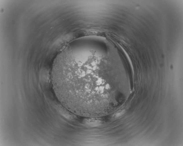 X0000062140331200512091221