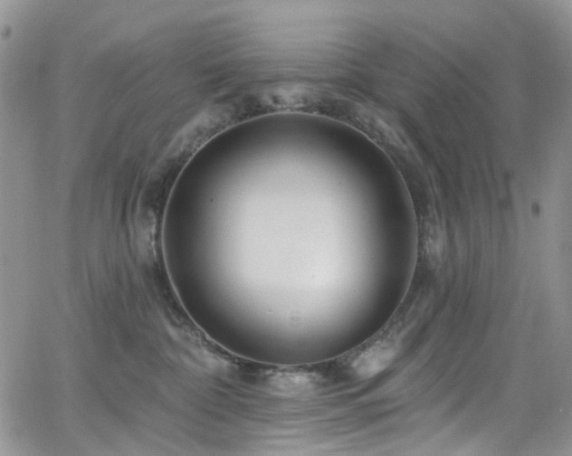 X0000062140332200512091221