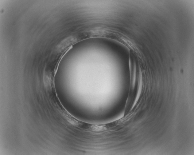 X0000062140333200512091221