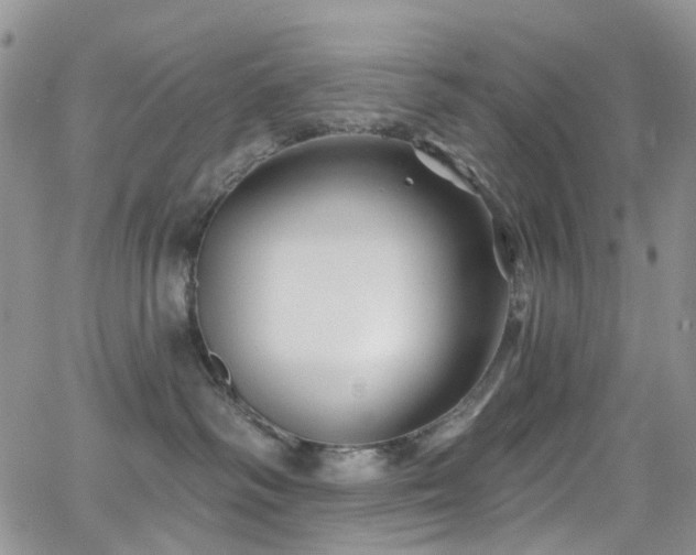 X0000062140334200512091221