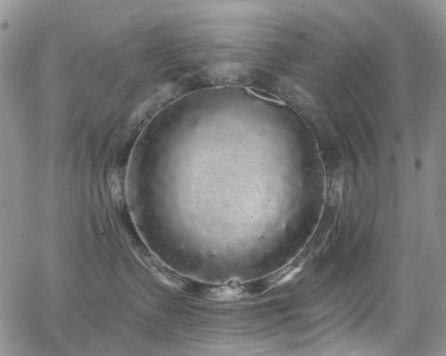 X0000062140335200512091221