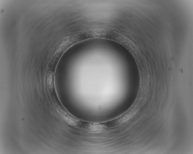 X0000062140336200512091221