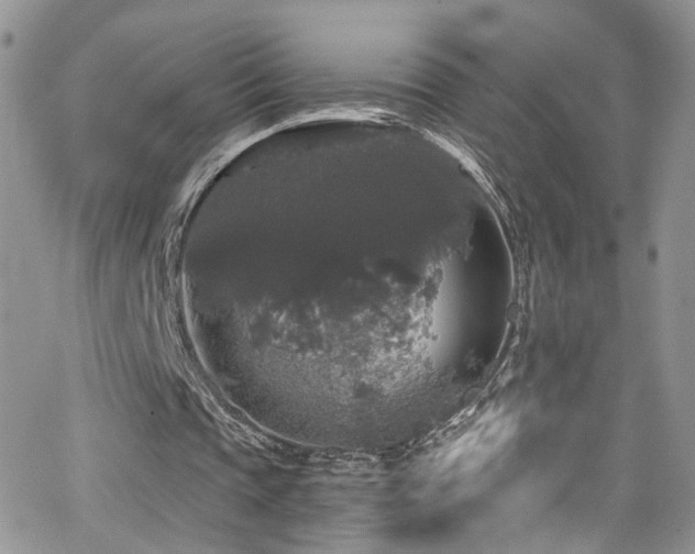 X0000062140337200512091220