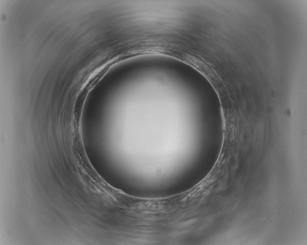 X0000062140338200512091220