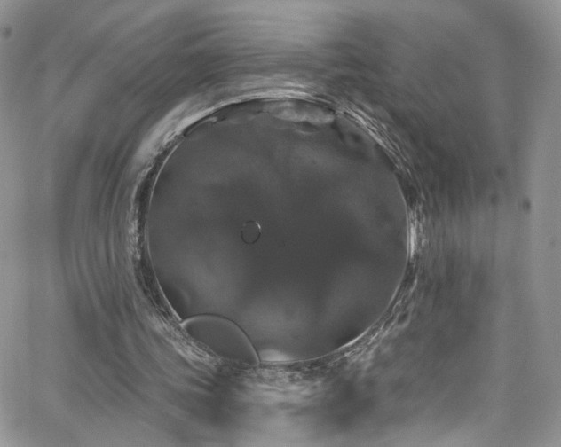 X0000062140339200512091220