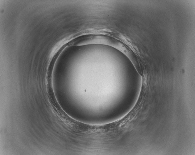 X0000062140340200512091220