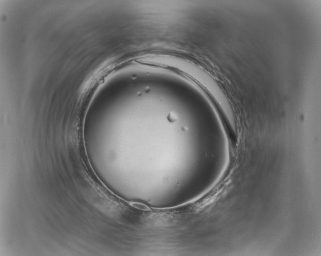 X0000062140341200512091221