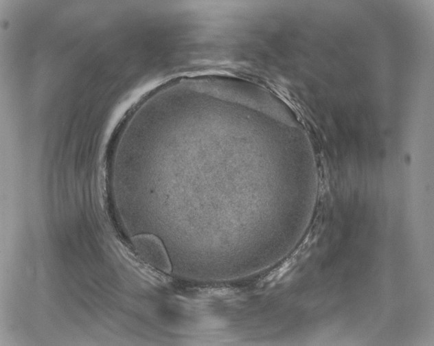 X0000062140342200512091221