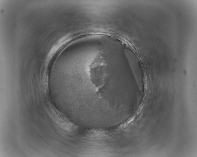 X0000062140343200512091221