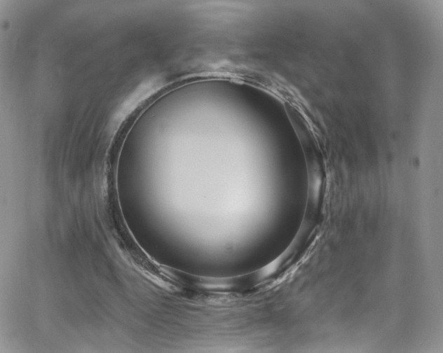 X0000062140344200512091221