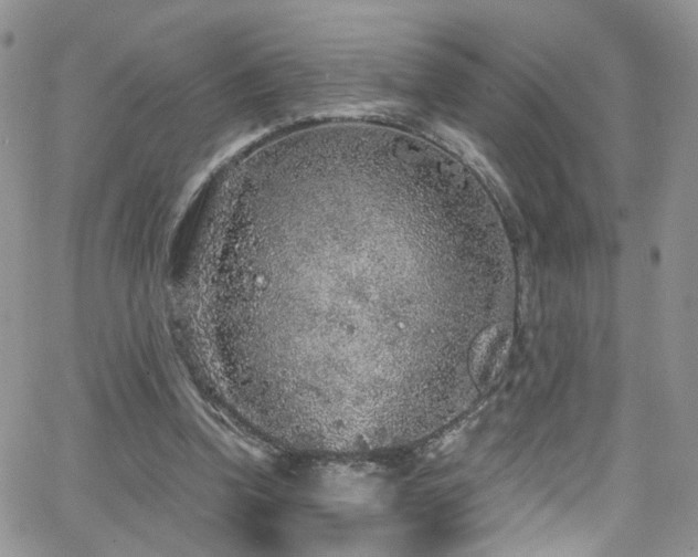 X0000062140346200512091221