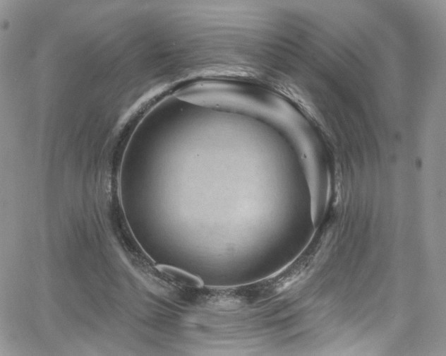 X0000062140348200512091221