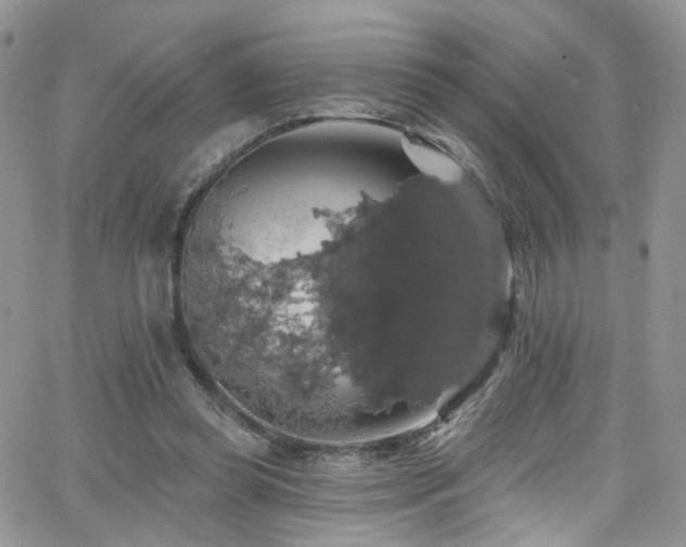 X0000062140349200512091221