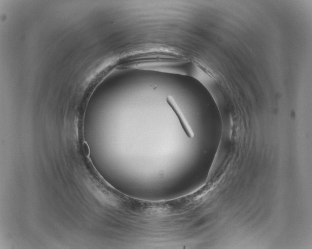 X0000062140350200512091221