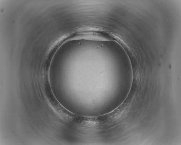 X0000062140352200512091221