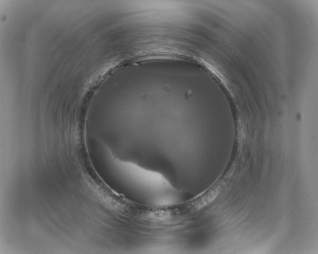 X0000062140353200512091221