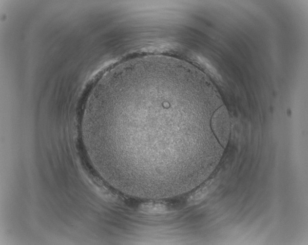 X0000062140354200512091221