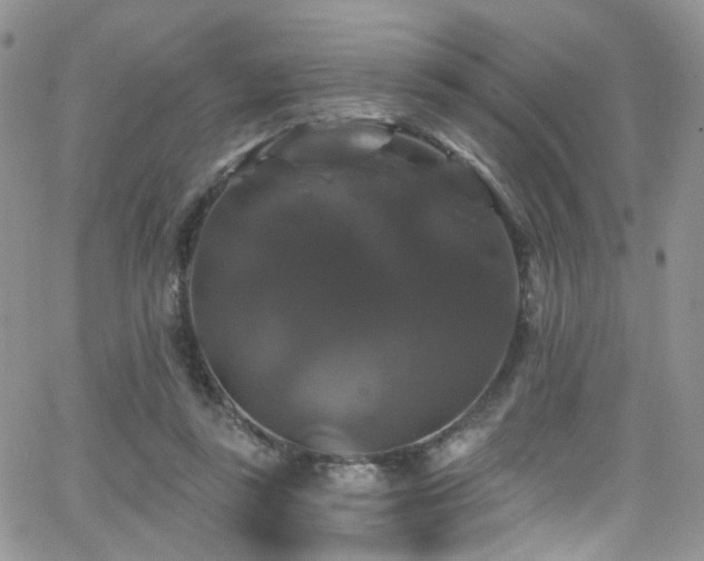 X0000062140355200512091221