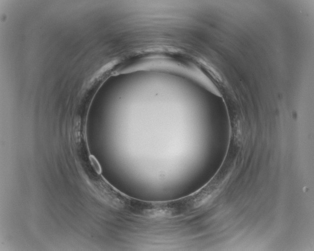 X0000062140356200512091221