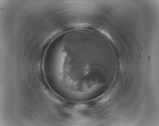 X0000062140357200512091221