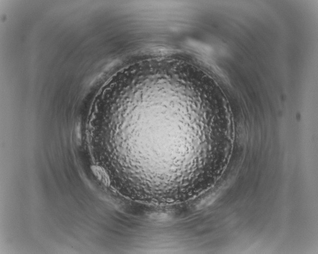 X0000062140358200512091221