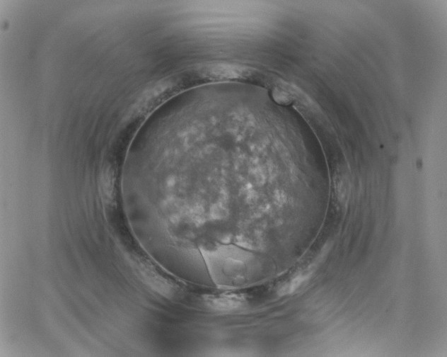 X0000062140359200512091221