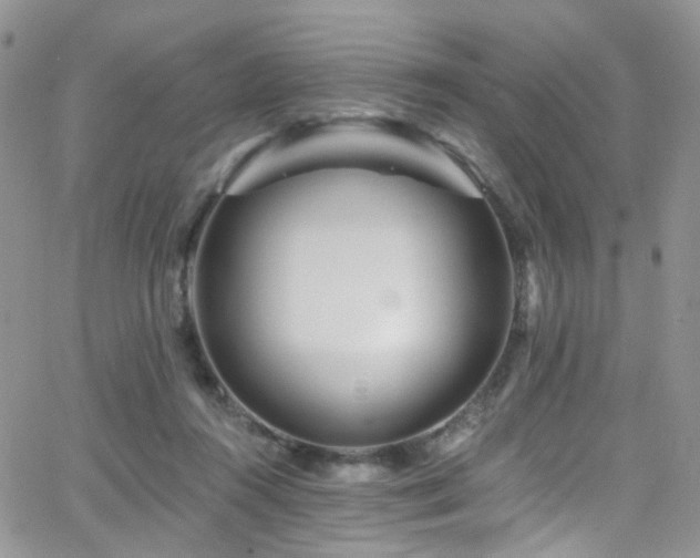 X0000062140360200512091221