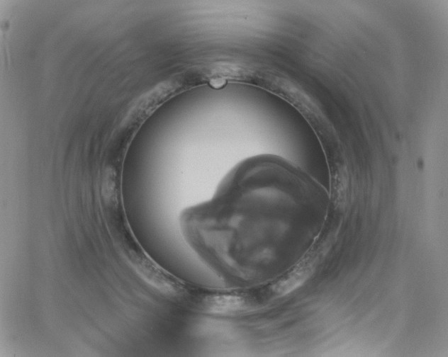 X0000062140361200512091221