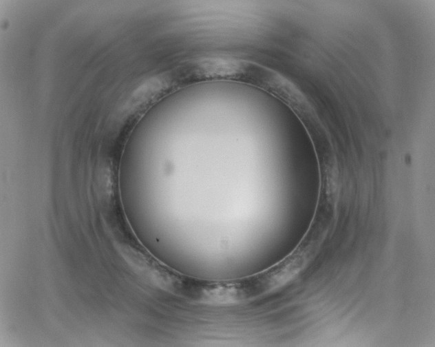 X0000062140362200512091221