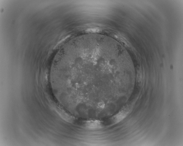 X0000062140363200512091221